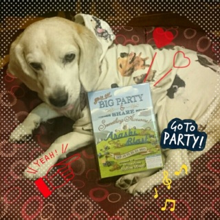 Arashi Blast in Miyagi